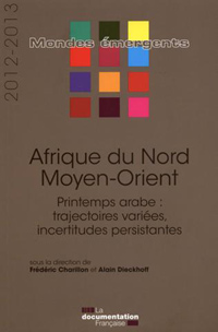 L'après Printemps arabe dans les relations internationales. De l'espoir politique à l'inquiétude stratégique ?