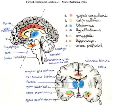 Mécanismes des violences : quelles origines ? 