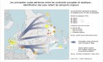 Carte. Les principales routes aériennes Europe-Asie